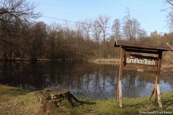 Meinerzhagen 2021, Großer Teich im Genkeltal