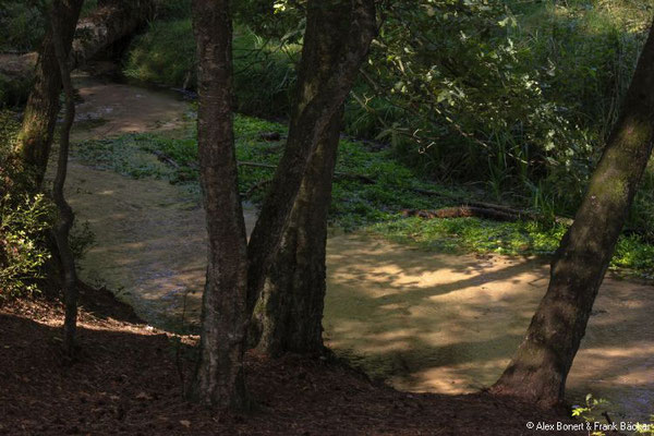 Teutoburger Wald 2022, Waldweg an der Ems