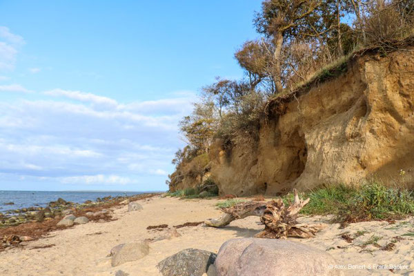 Insel Poel 2023, Steilufer an der Nordküste