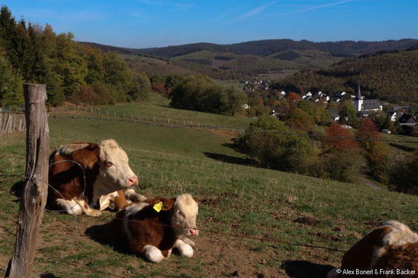 Sonnenweg Irmgarteichen 2018, Blick auf Irmgarteichen