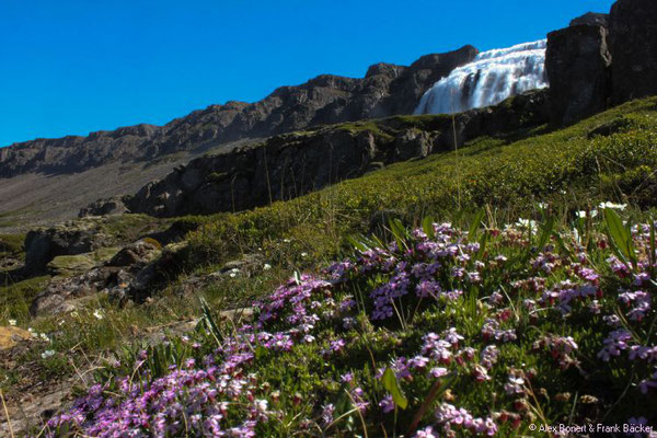 Polarkreis 2016, Dynjandi-Wasserfall