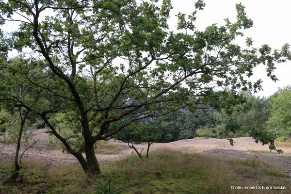 Hohenseelbachskopf 2023, 