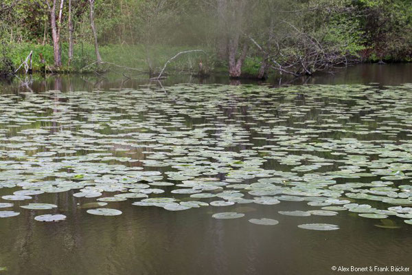 Quellenweg Osthelden 2021, Robertsweiher