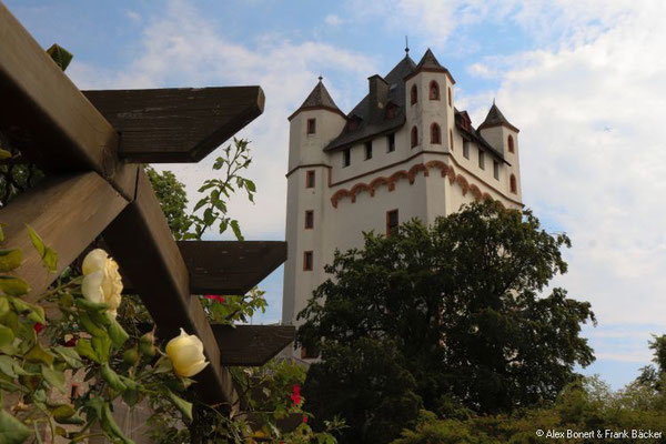 Eltville 2018, Kurfürstliche Burg