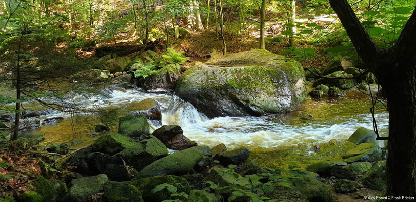 Harz 2021, Ilsetal