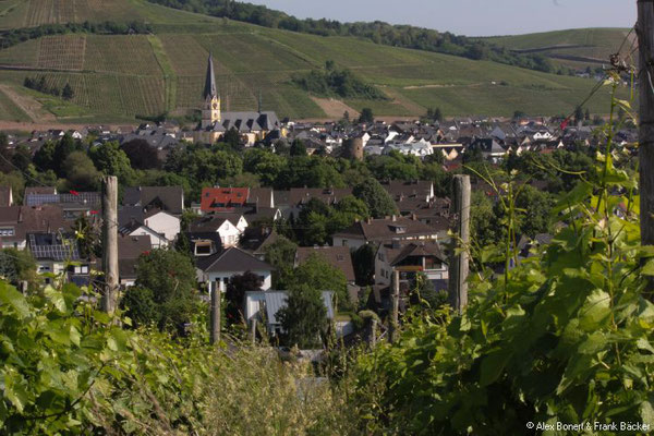 Ahrweiler 2018, Blick vom Calvarienberg