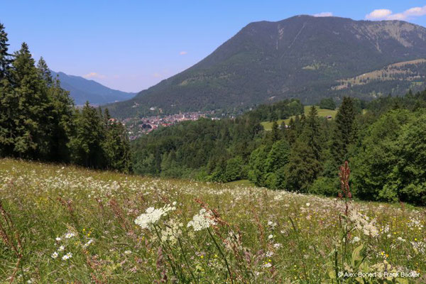 Garmisch-Partenkirchen 2023, Höhenweg, Blick zum Wank