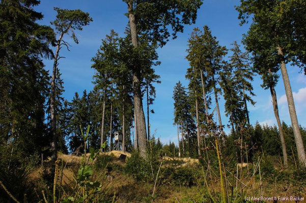 Altenberg zwischen Müsen und Littfeld, bei Kreuztal