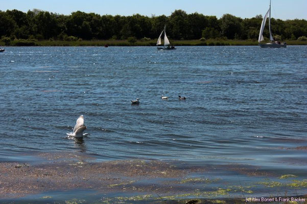 Zeeland 2015, Kamperland, Veerse Meer