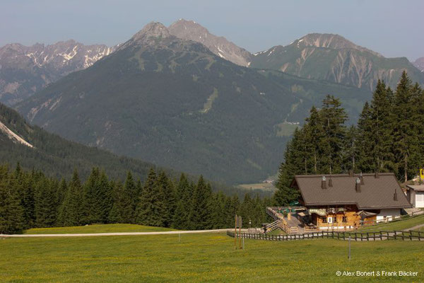 Garmisch-Partenkirchen 2023, Ehrwalder Alm mit Gartner Wand und Bleispitze