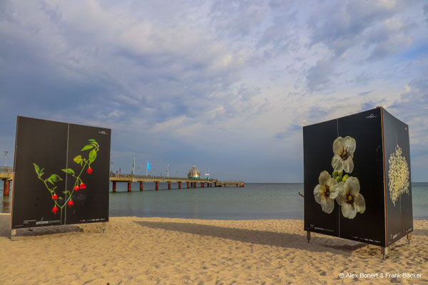 Zingst 2023, Fotoausstellung Horizonte