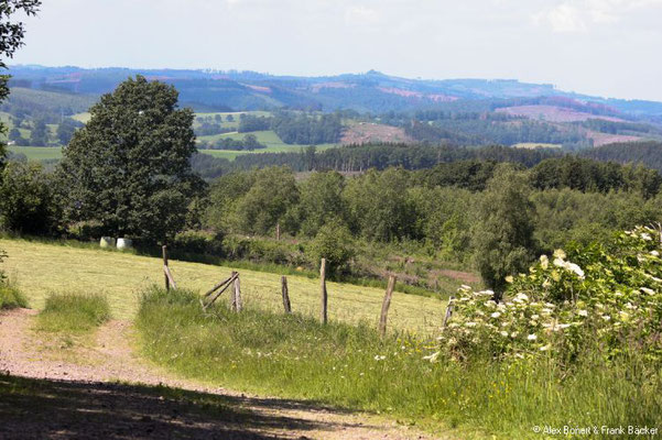 Rehringhausen 2022, Blick vom Engelsberg