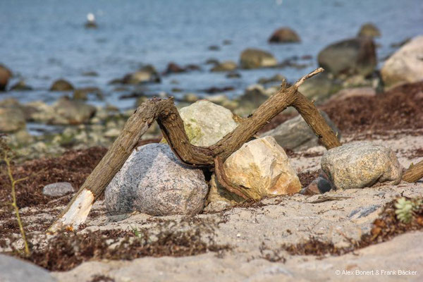 Insel Poel 2023, Strand an der Nordküste