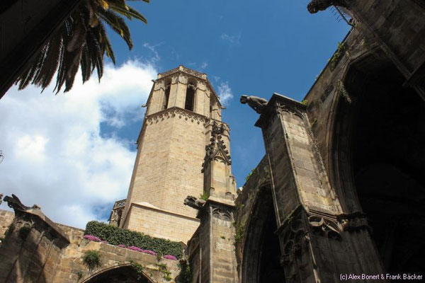 Barcelona 2015, Catedral de Santa Eulàlia, Kreuzgang