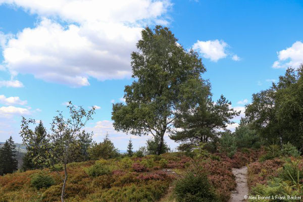 Teutoburger Wald 2022, auf der Velmerstot