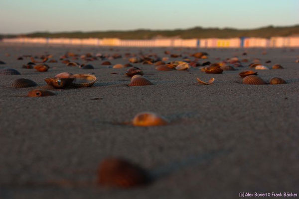 Zeeland 2015, Oostkapelle