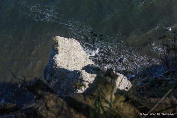 Rügen 2023, an der Victoria-Sicht