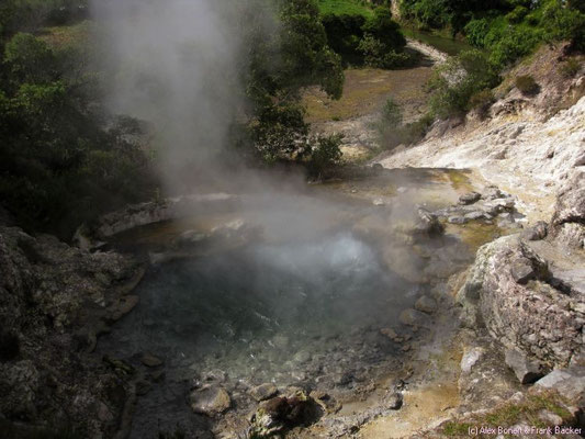 Azoren 2011, Sao Miguel, Furnas, Caldeiras