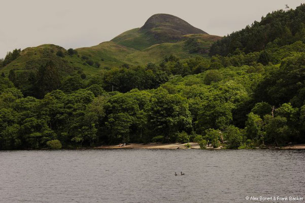 Schottland 2012, Loch Lomond