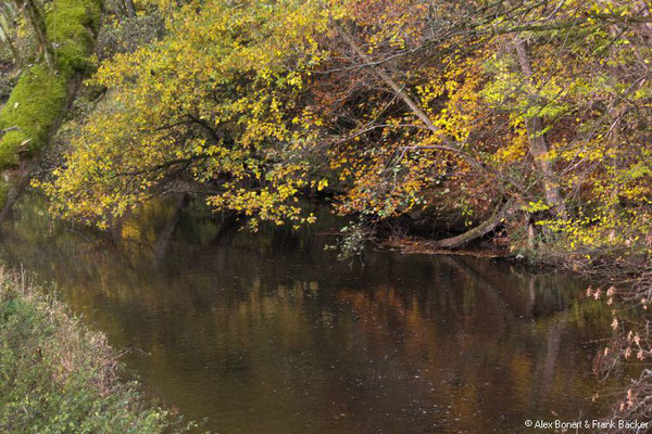 Limbacher Rundweg 24, an der Großen Nister, 2018