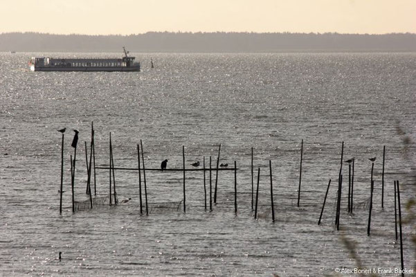 Usedom 2020, am Achterwasser