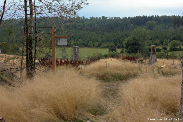 Grenzgeschichten Heinsberg 2022, Schmalenberg