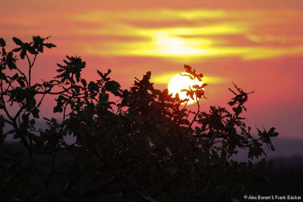 Alpenhaus 2018, Sonnenuntergang am Alpenhaus