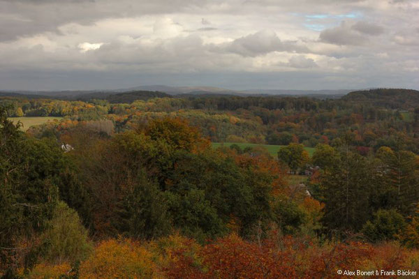 Waldmythenweg, Baumwipfelpfad Panarbora