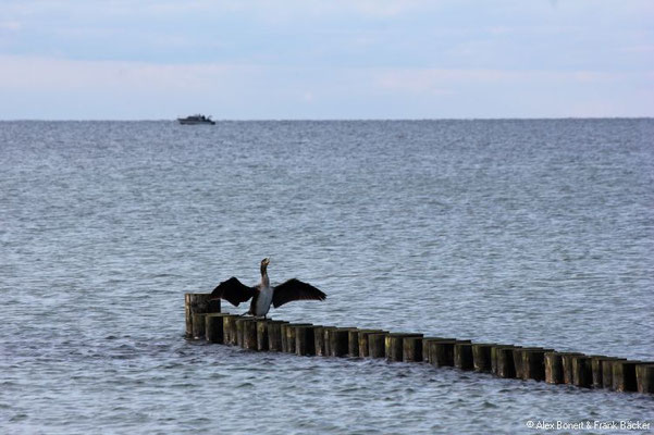 Hiddensee 2019, Strand