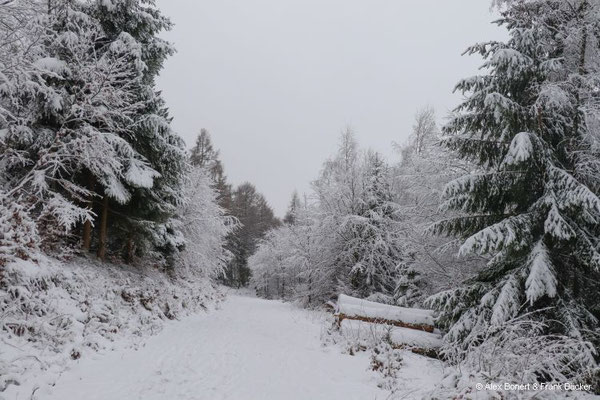 2025, Wanderung zum Kindelsberg