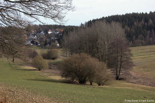 Oberholzklau Rundweg 2019, Wiesen bei Bühl