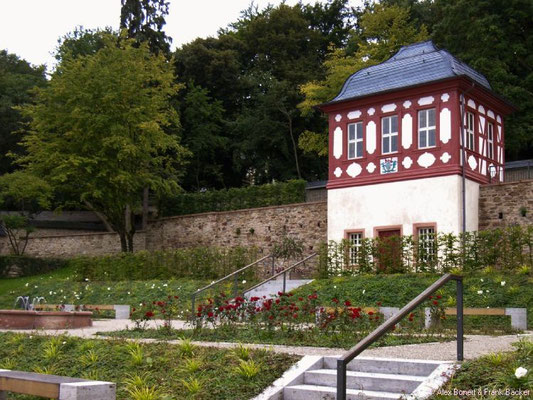 Kloster Eberbach 2008