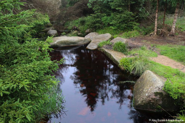 Harz 2021, Kaiserweg