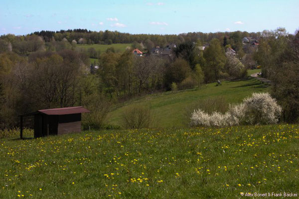 Fachwerkweg Freudenberg 2016, Hohenhain