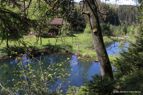 Krenkeltal und Goldener Zapfen 2023, Heinsberg