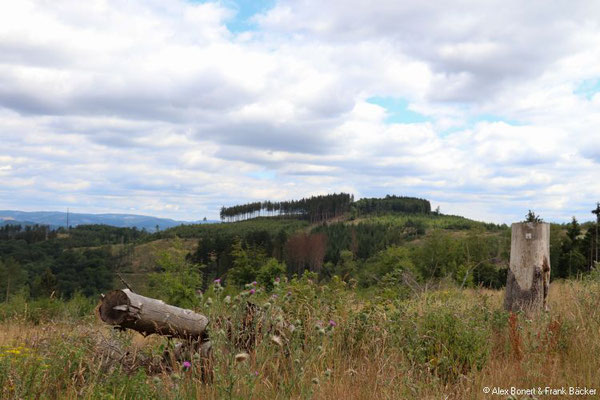 Zwei-Burgen-Weg 2022