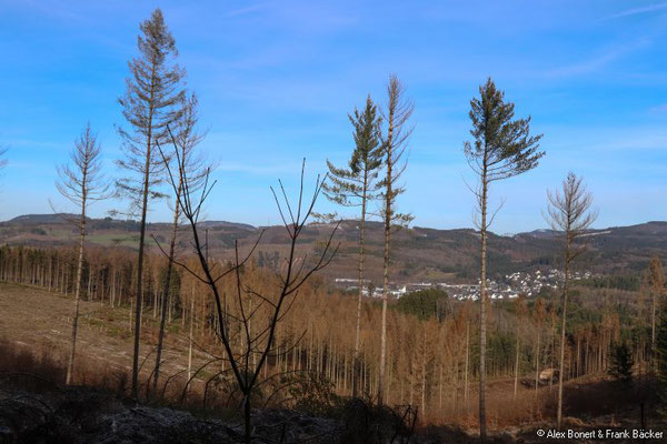 Albaum 2022, Blick nach Würdinghausen