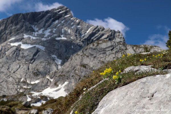 Garmisch-Partenkirchen 2023, Blick zur Alpspitze