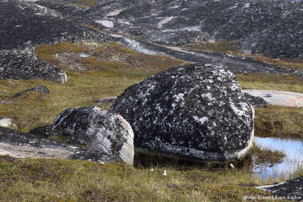 Grönland 2019, Ilimanaq