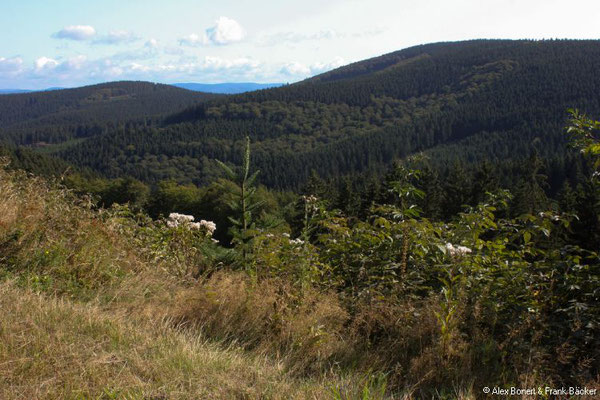 Alpenhaus 2018, Blick ins Hochsauerland zwischen Brie und Böhmenkamp