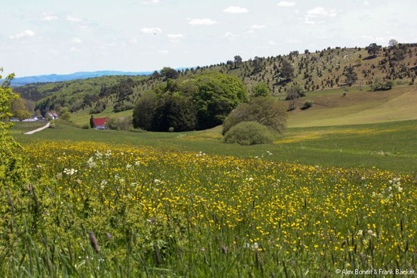 Nordeifel 2021, "Toskana der Eifel", 