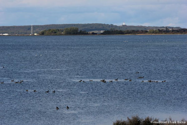 Hiddensee 2019, Fährüberfahrt