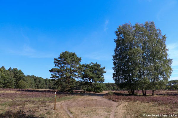Teutoburger Wald 2022, Naturschutzgebiet Moosheide