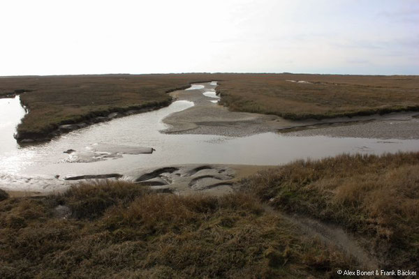 Sankt Peter Ording 2019, Bad