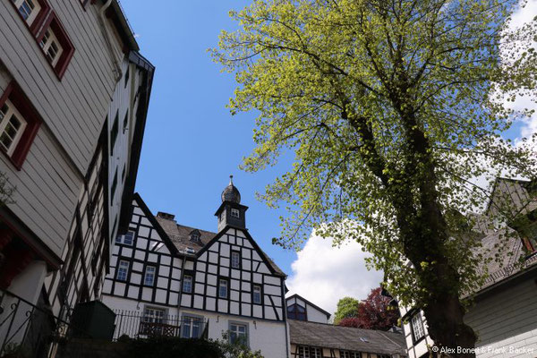 Nordeifel 2021, Monschau, 