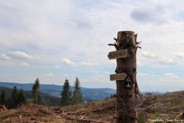 Brachtser Höhenweg 2022