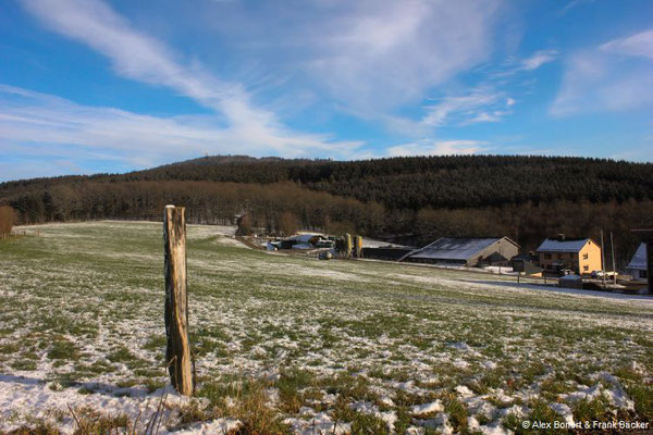 Blick von Stendenbach zum Kindelsberg, Kreuztal