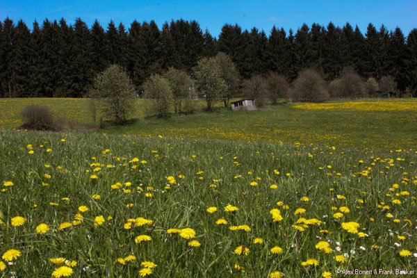 Fachwerkweg Freudenberg 2016, Hohenhain