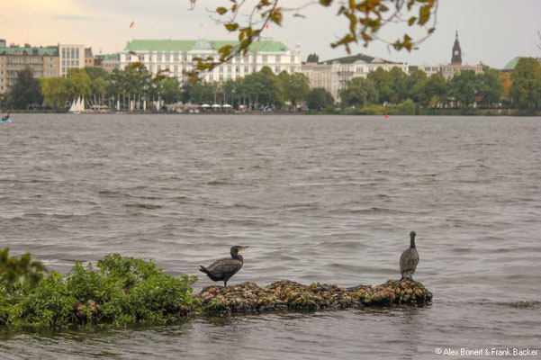 Hamburg 2021, Alsterpark