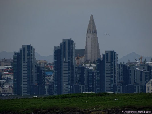 Polarkreis 2016, Reykjavik mit Hallgrimskirkja